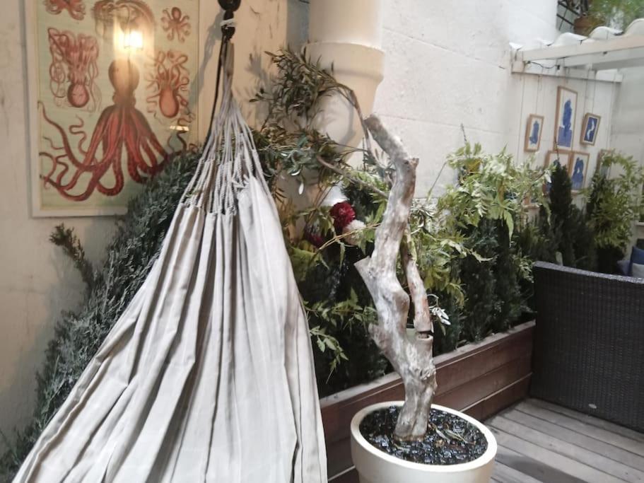 Le Patio Du Cours Julien Apartment