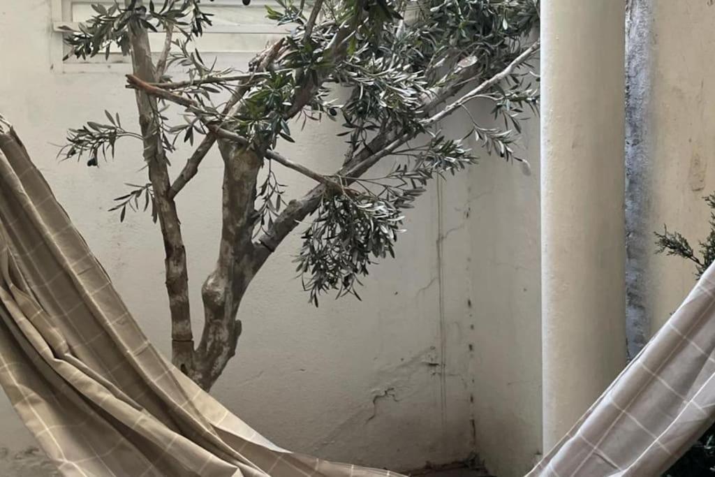 Apartment Le Patio Du Cours Julien Marseilles